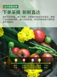 全深圳食堂承包與配送一體化服務 為公司與學校提供優質餐飲解決方案